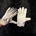 Michigan College Football Gloves